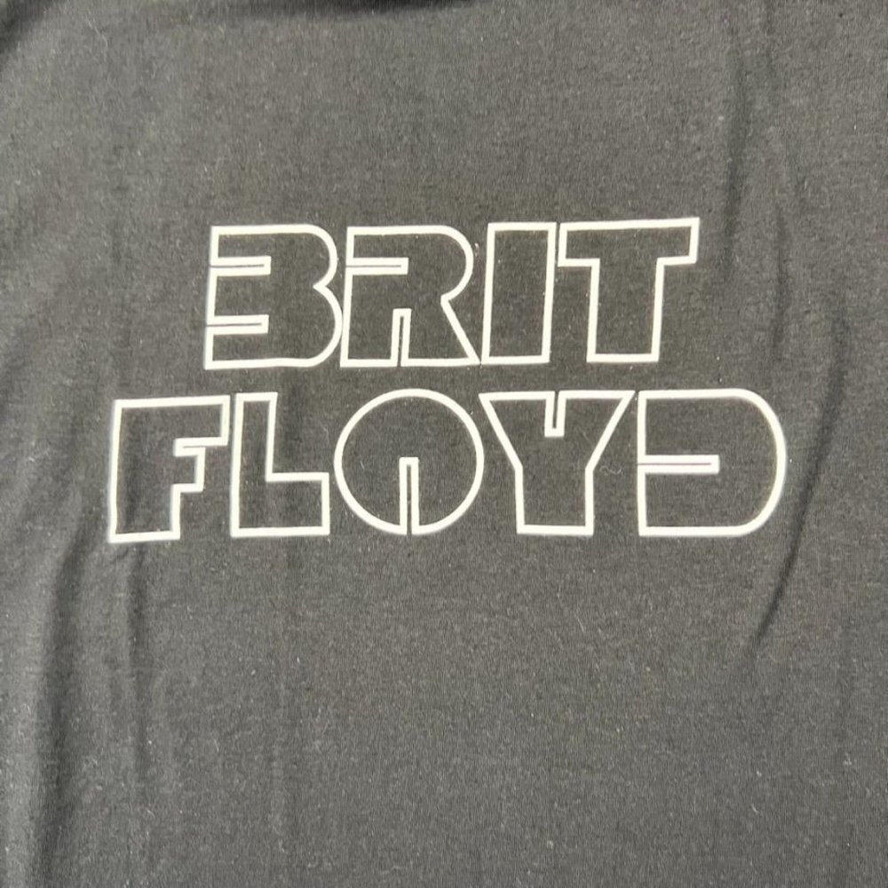 Mens Short Sleeve Frit Floyd Graphic T-Shirt Size: Medium - Picture 4 of 7